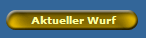 Aktueller Wurf