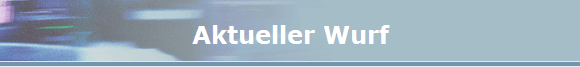 Aktueller Wurf