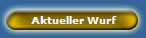 Aktueller Wurf