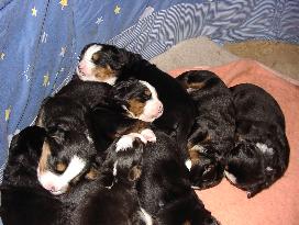 Bild vom 4.3.2006