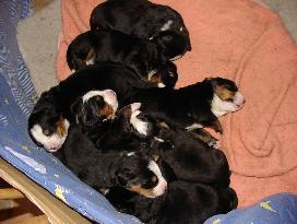 Bild vom 4.3.2006