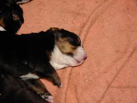 Bild vom 4.3.2006