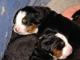Bild vom 4.3.2006